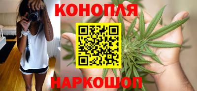 крисы Ливны