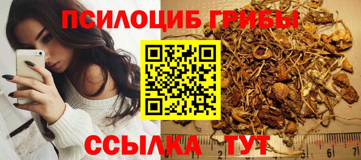 Каменск-Уральский  Псилоцибиновые грибы MAGIC MUSHROOMS  Вход с VPN  Галлюциногенные грибы ЛСД 